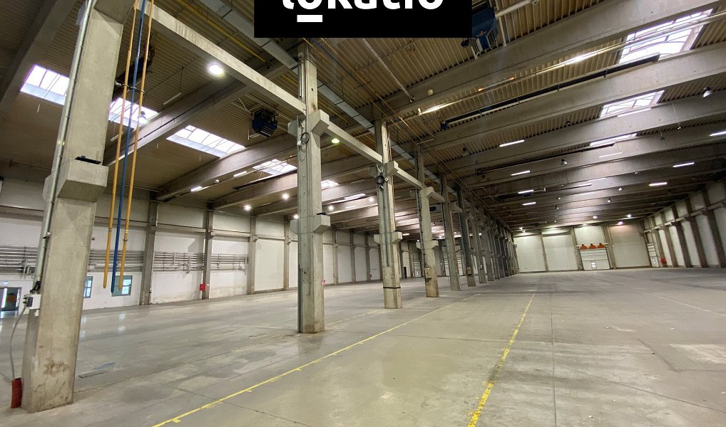Pronájem skladovacích prostor 7 670 m², Litovel – náhled fotky 5