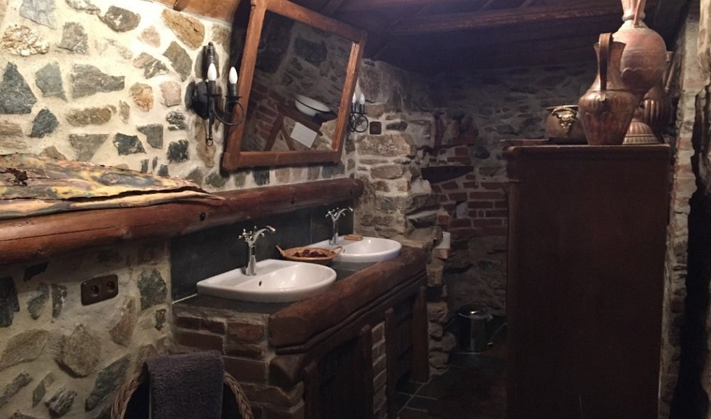 Prodej chaty/chalupy 300 m² s pozemkem 4 419 m², Stráž nad Ohří – náhled fotky 5
