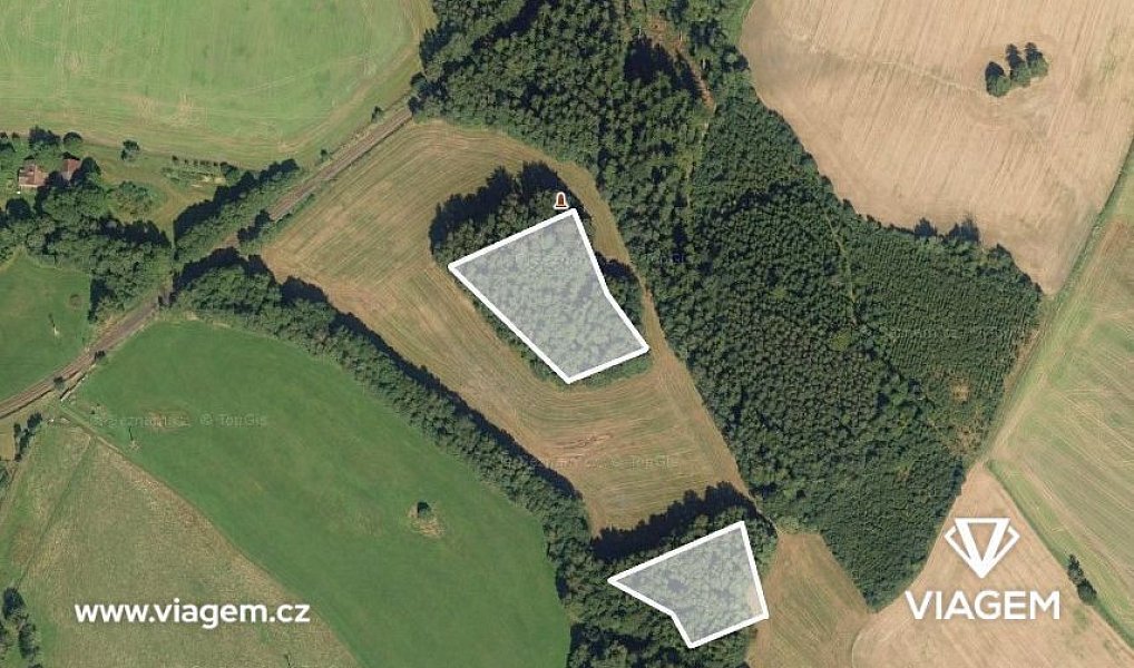 Prodej lesa 2 849 m², Pustá Kamenice – náhled fotky 2