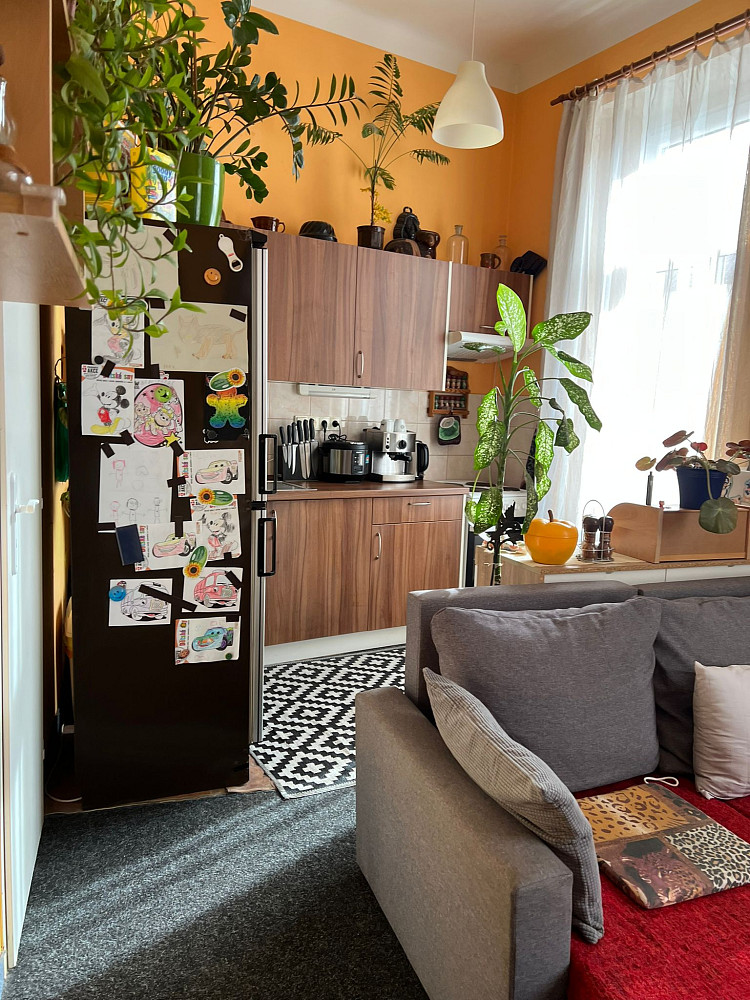 Prodej nájemního domu, činžáku 416 m² – další