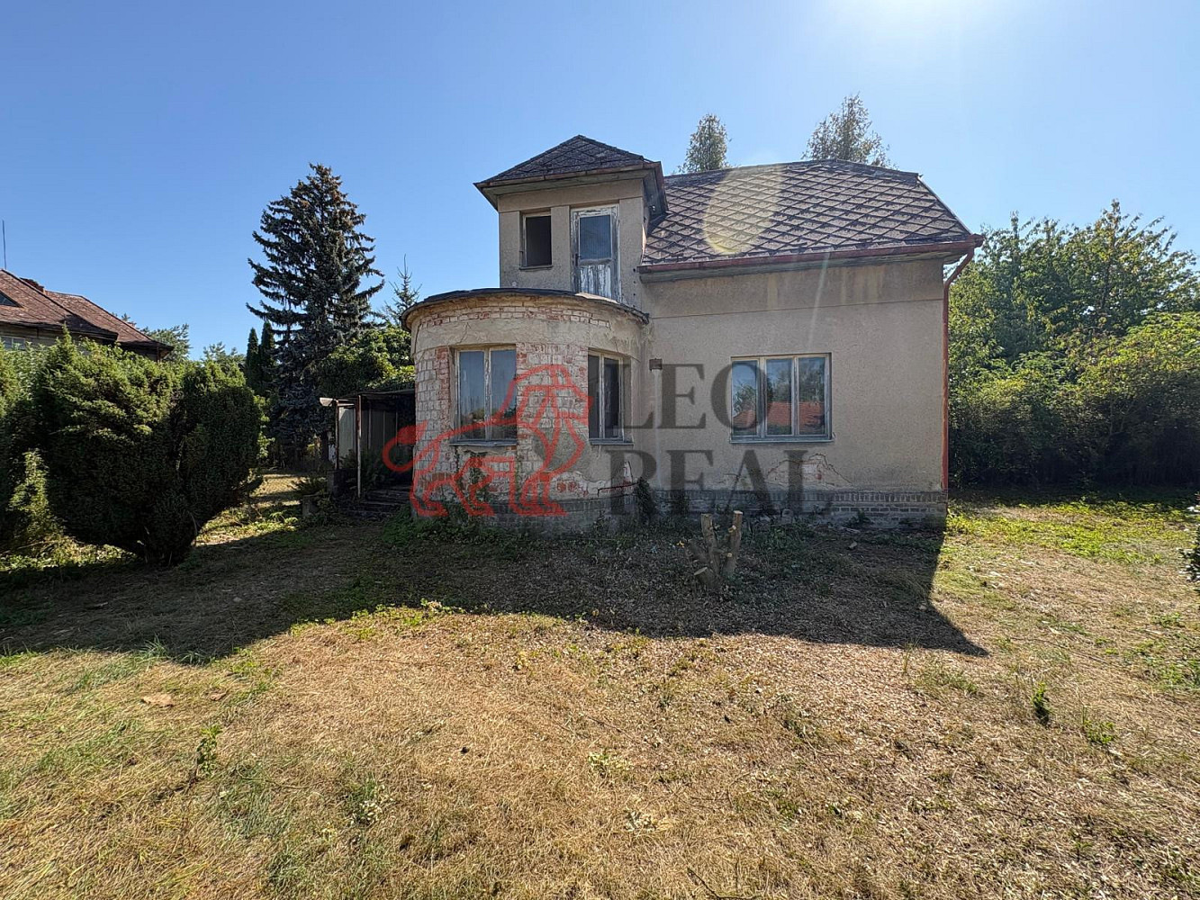 Fotka 9 z 19