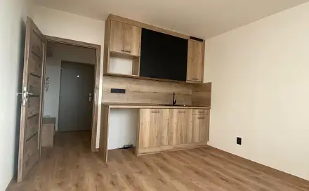 Pronájem bytu 1+kk 22 m², U Věžových domů, Most
