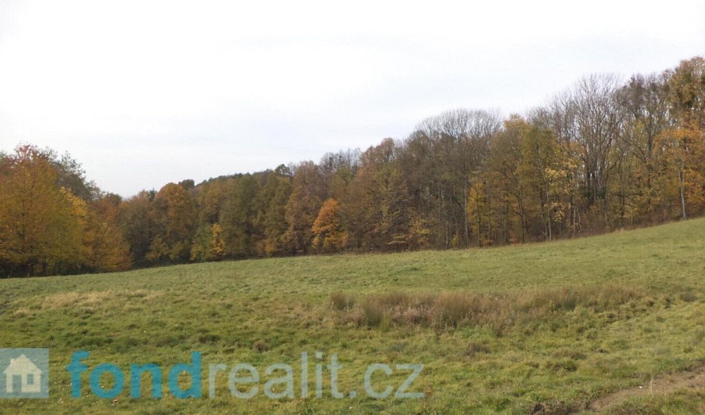 Prodej pozemku 6 670 m², Nový Jičín – náhled fotky 3