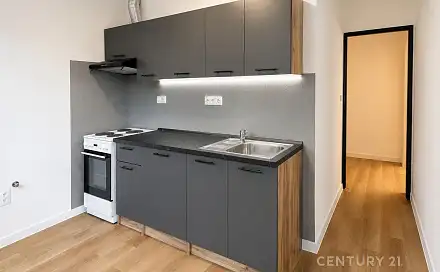 Pronájem bytu 3+1 60 m²