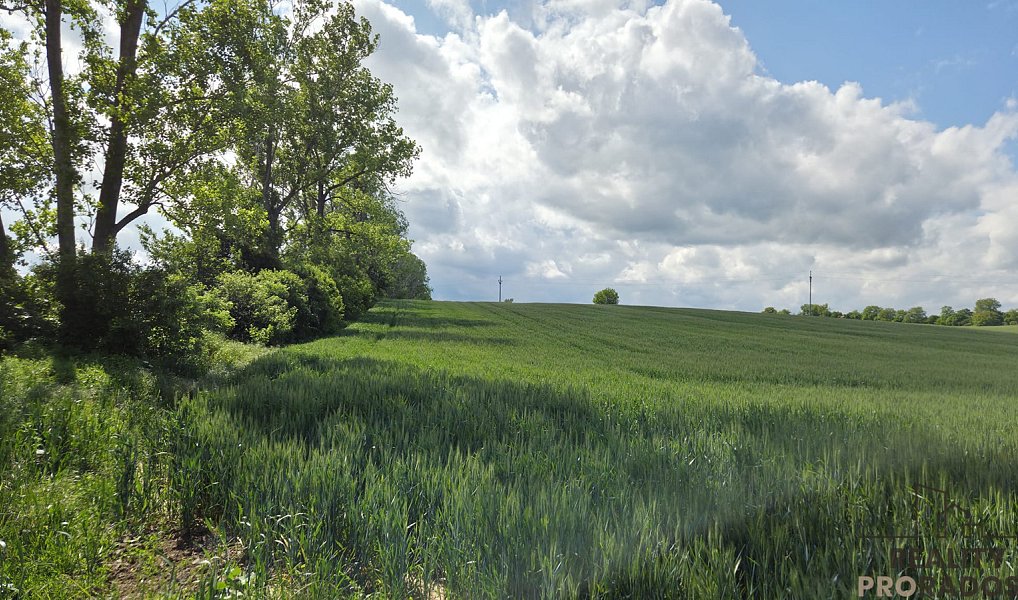 Prodej pole 2 649 m², Kyjov – náhled fotky 8