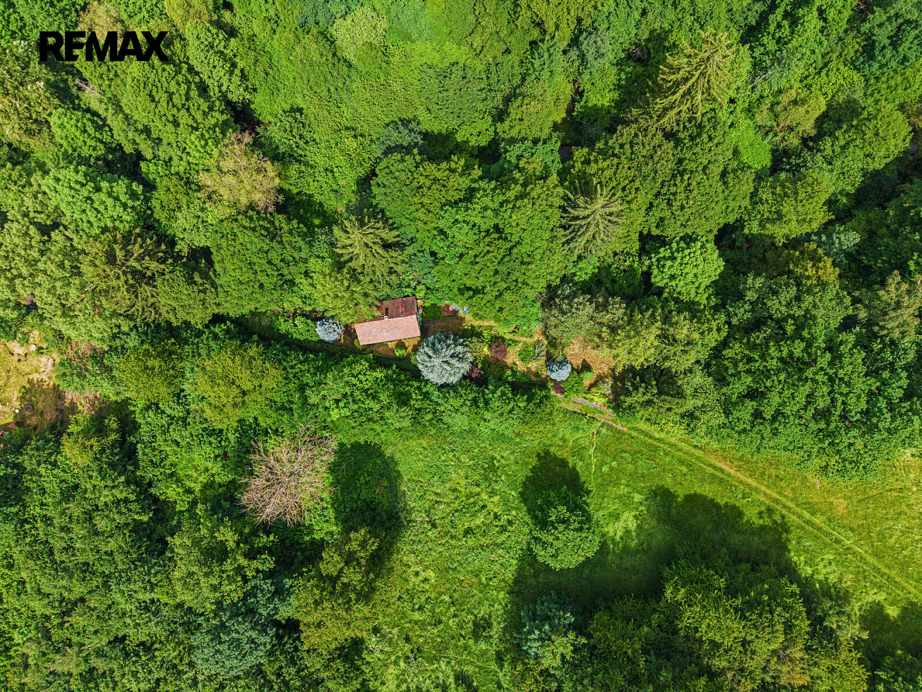 Prodej chaty/chalupy 100 m² s pozemkem 1 513 m² – fotografie 4