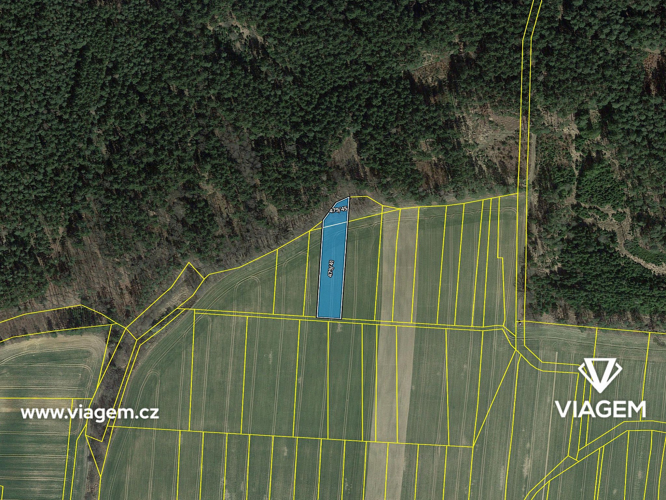 Prodej pole 436 m² – fotografie 4