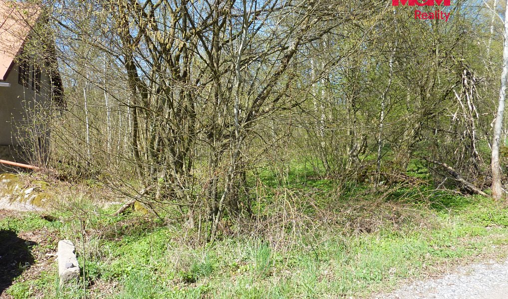 Prodej stavebního pozemku 1 453 m², Brzice – náhled fotky 7