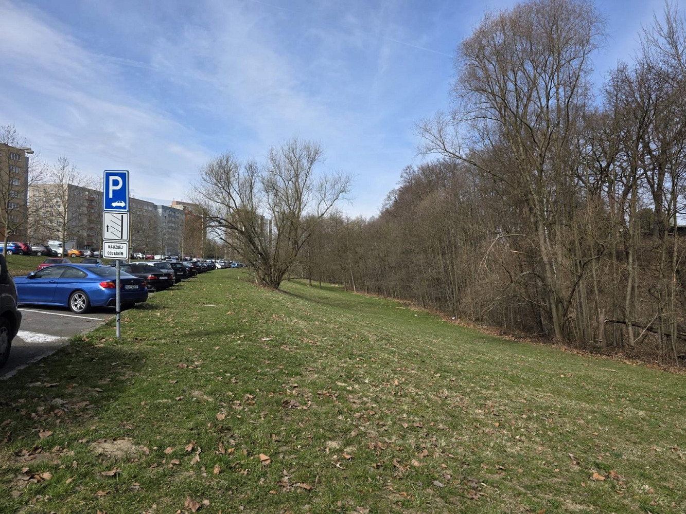 Prodej komerčního pozemku 2 561 m² – fotografie 4