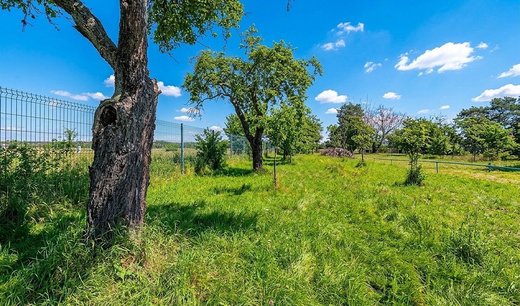 Prodej chaty/chalupy 30 m² s pozemkem 1 589 m², Prostějov – náhled fotky 16