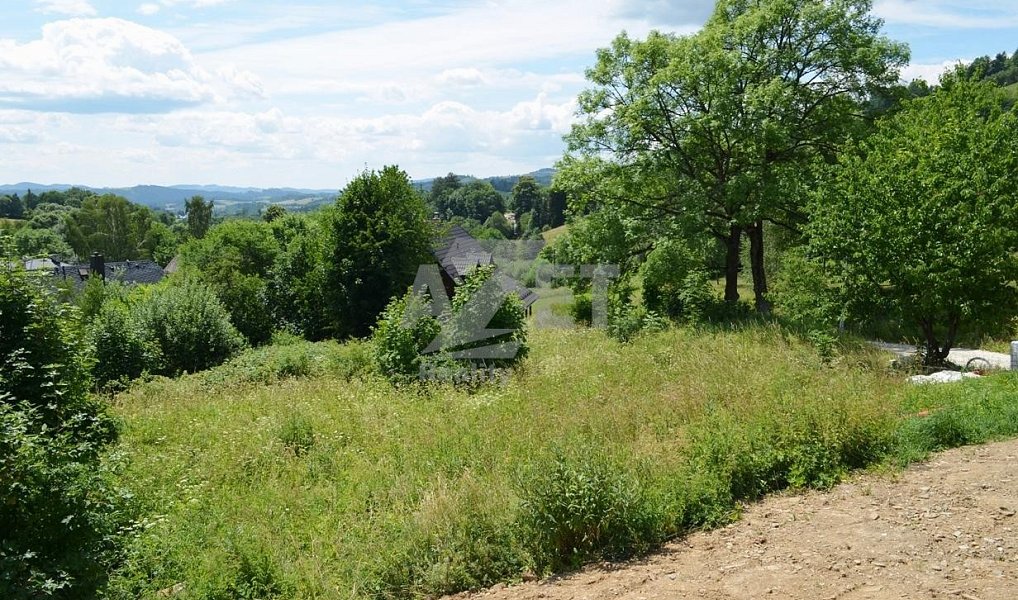 Prodej pozemku 1 500 m², Staré Město – náhled fotky 5