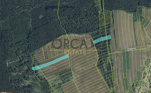 Prodej pole 24 875 m², Nová Dědina, okres Kroměříž