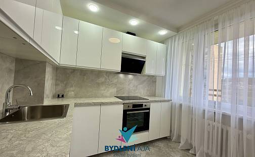 Prodej bytu 2+1 54 m², Alejní, Teplice