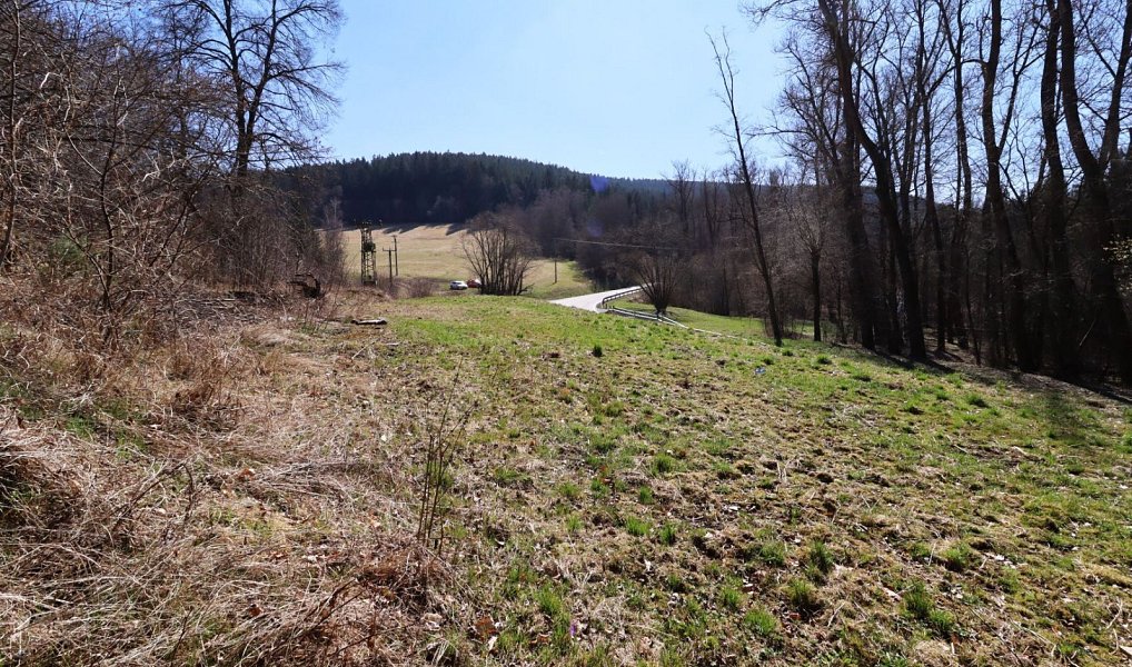 Prodej stavebního pozemku 2 063 m², Dlouhá Ves – náhled fotky 12