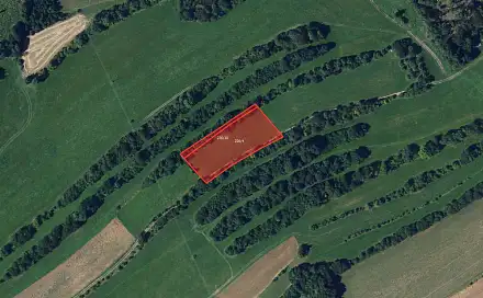 Prodej pole 4 928 m², Černovice, okres Blansko