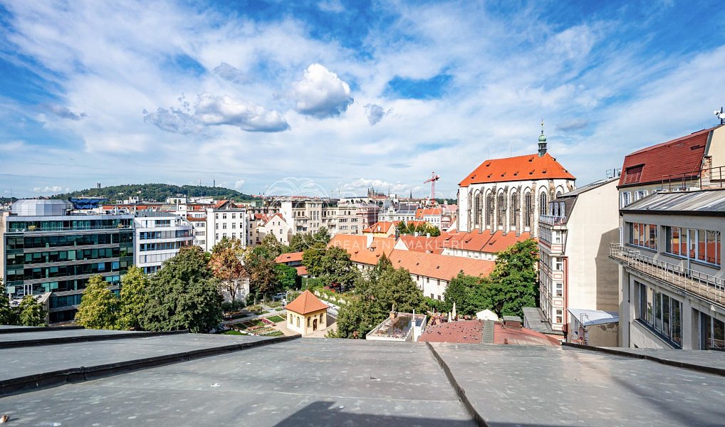 Pronájem bytu 5+kk 184 m², Praha – náhled fotky 9