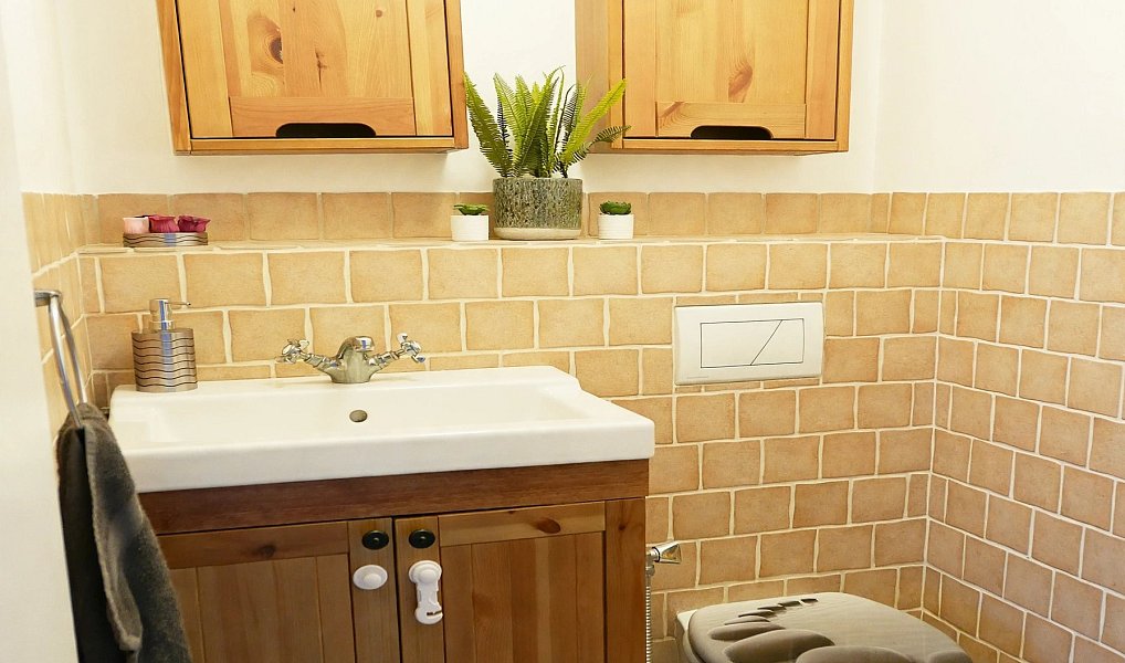 Pronájem bytu atypického 130 m², Býšť – náhled fotky 10