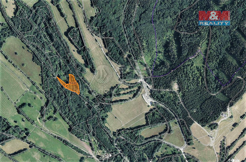 Prodej lesa 4 983 m² — photo 4