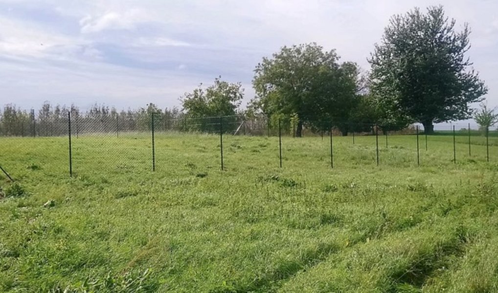 Pronájem zahrady 384 m², Jaroměř – náhled fotky 11