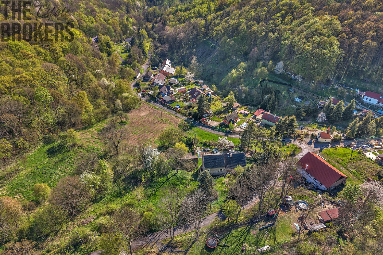 Fotka 10 z 19