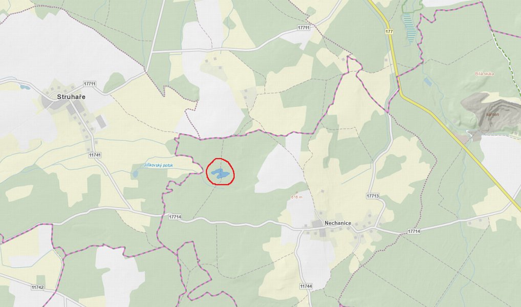 Prodej lesa 1 057 m², Louňová – náhled fotky 4