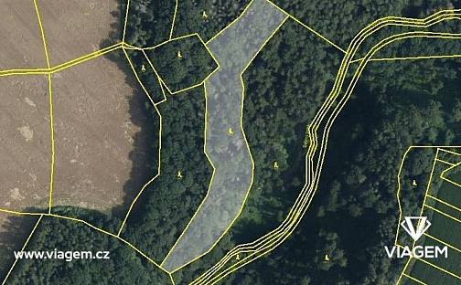 Prodej lesa 7 146 m², České Lhotice, okres Chrudim