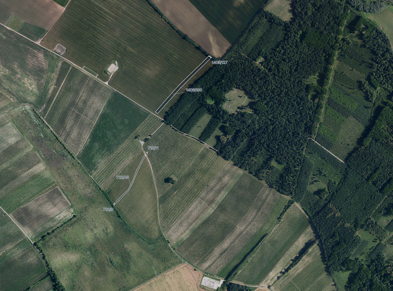 Prodej pole 6 005 m² — photo 5
