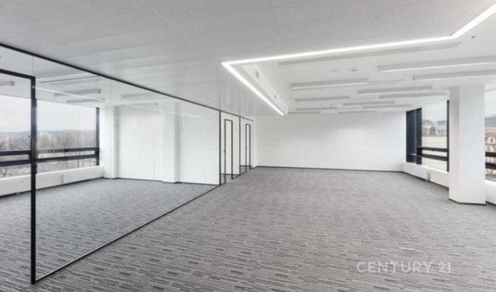 Pronájem kanceláře 521 m², Praha – náhled fotky 5