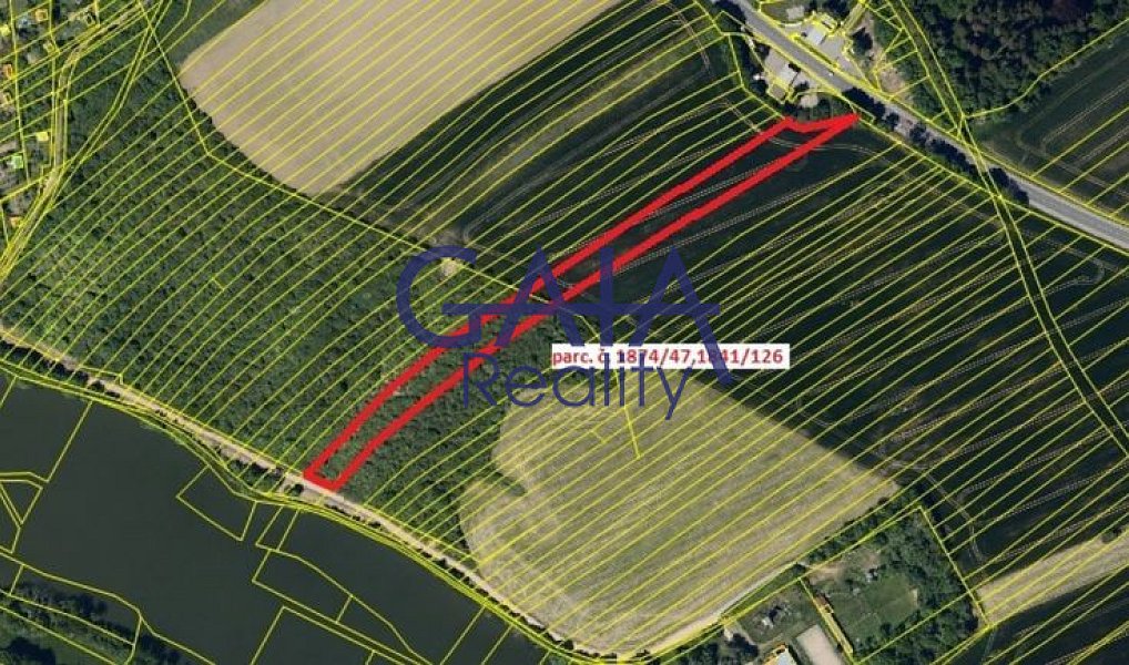 Prodej pole 8 411 m², Buchlovice – náhled fotky 4