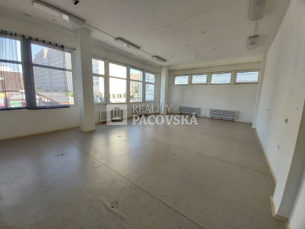 Pronájem obchodních prostor 787 m² – fotografie 2