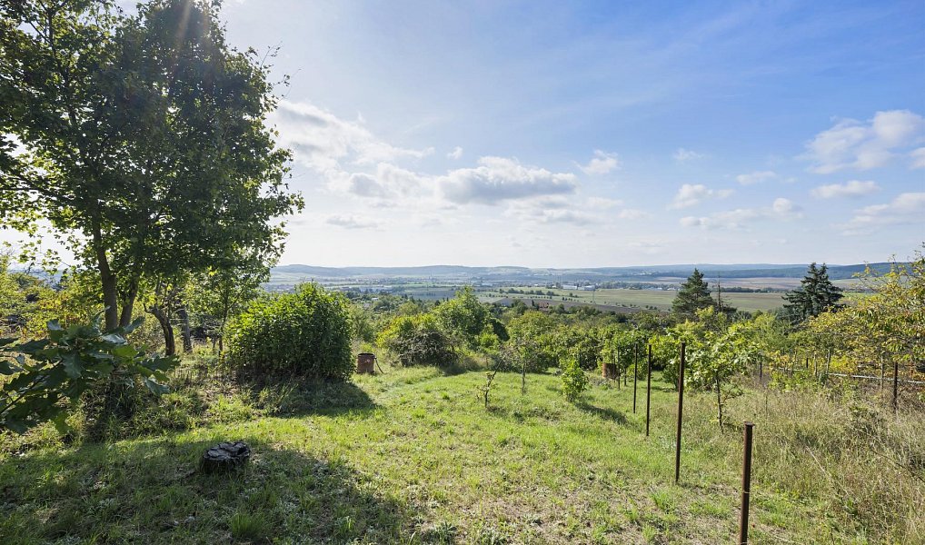 Prodej zahrady 1 346 m², Brno – náhled fotky 4