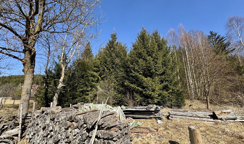 Prodej chaty/chalupy 200 m² s pozemkem 11 151 m², Sněžné – náhled fotky 10