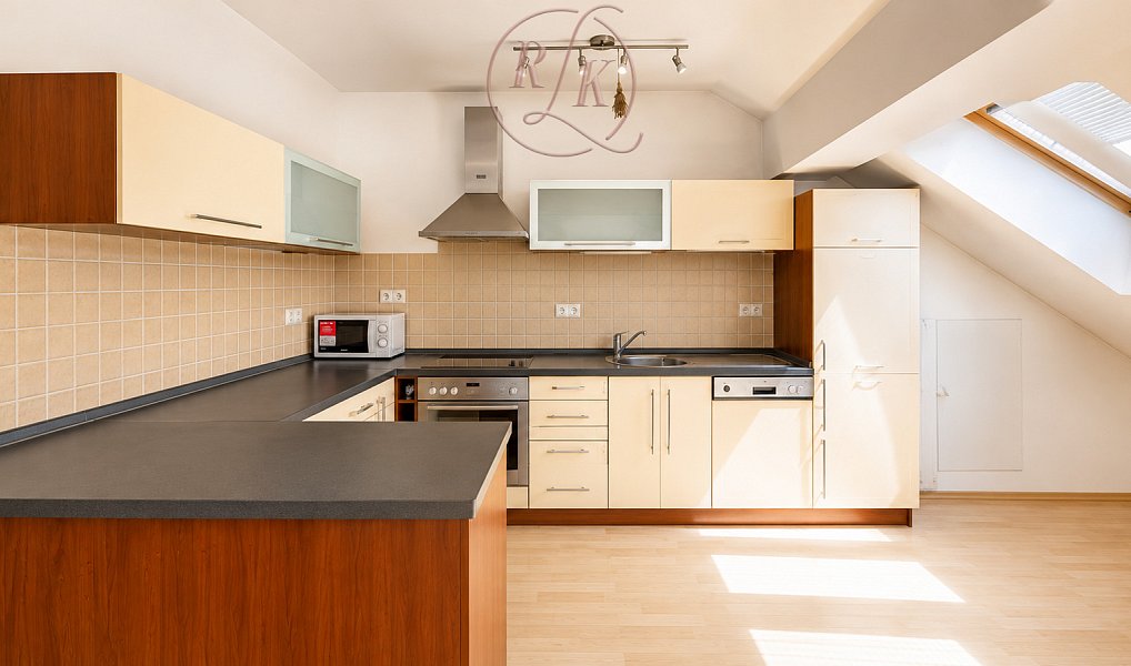 Prodej bytu 5+kk 178 m², Brno – náhled fotky 3