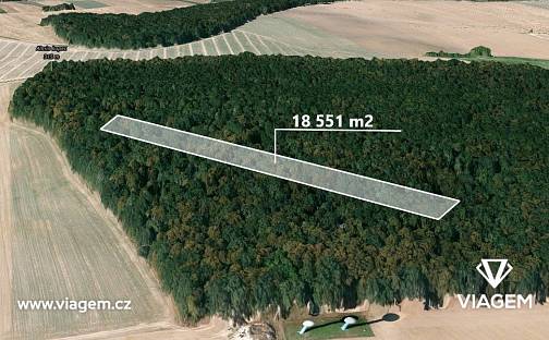 Prodej lesa 18 551 m², Hněvošice, okres Opava