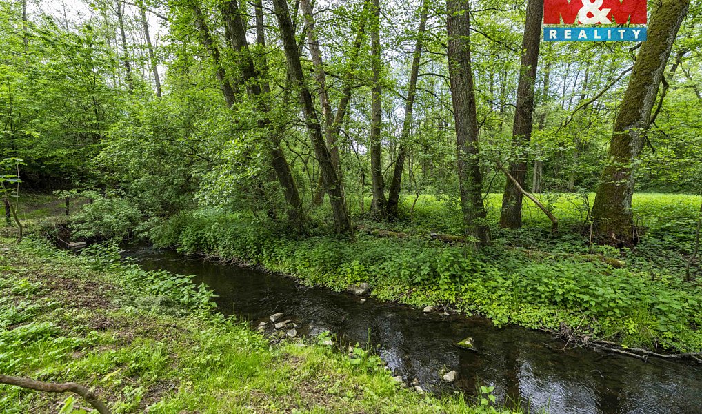 Prodej lesa 491 m², Červené Pečky – náhled fotky 12
