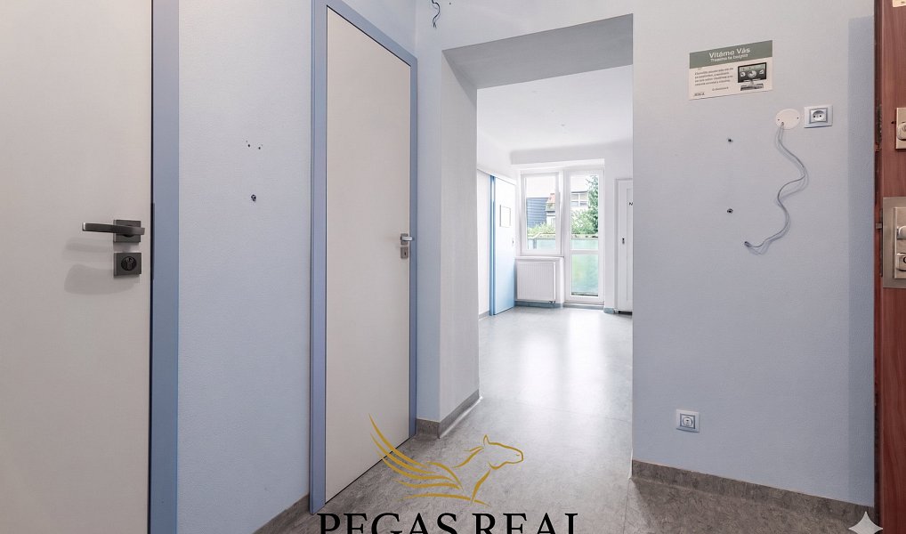 Prodej bytu 3+kk 57 m², Brno – náhled fotky 13