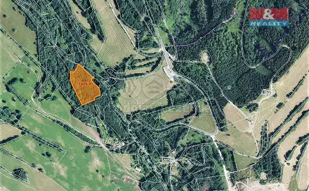 Prodej lesa 13 585 m², Trutnov
