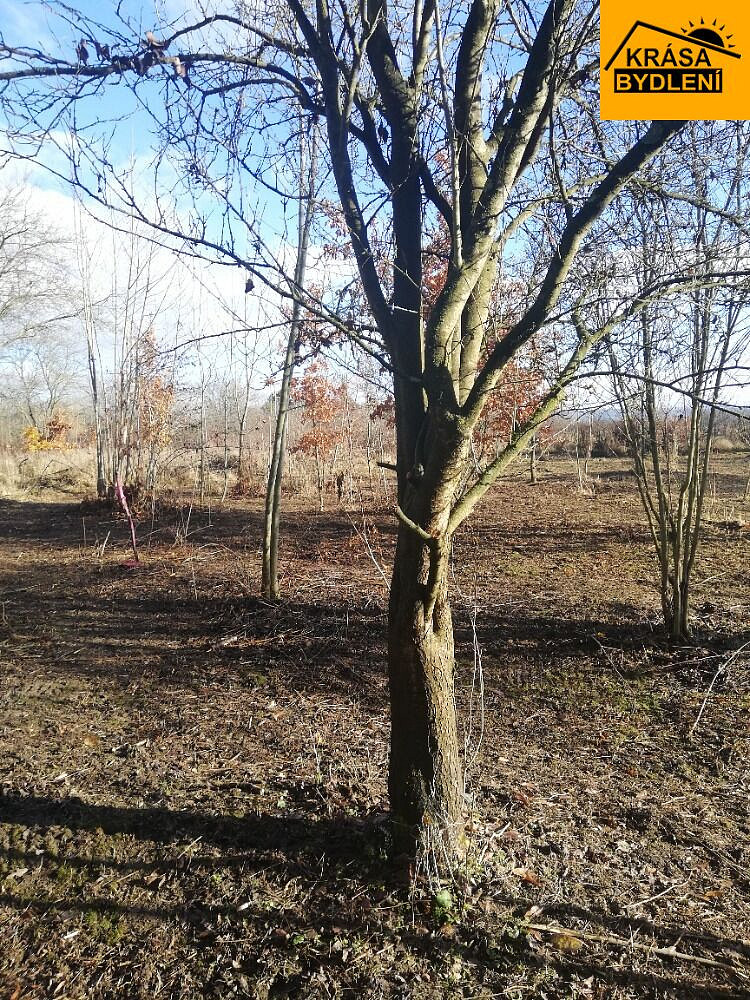 Prodej zahrady 470 m² — photo 3