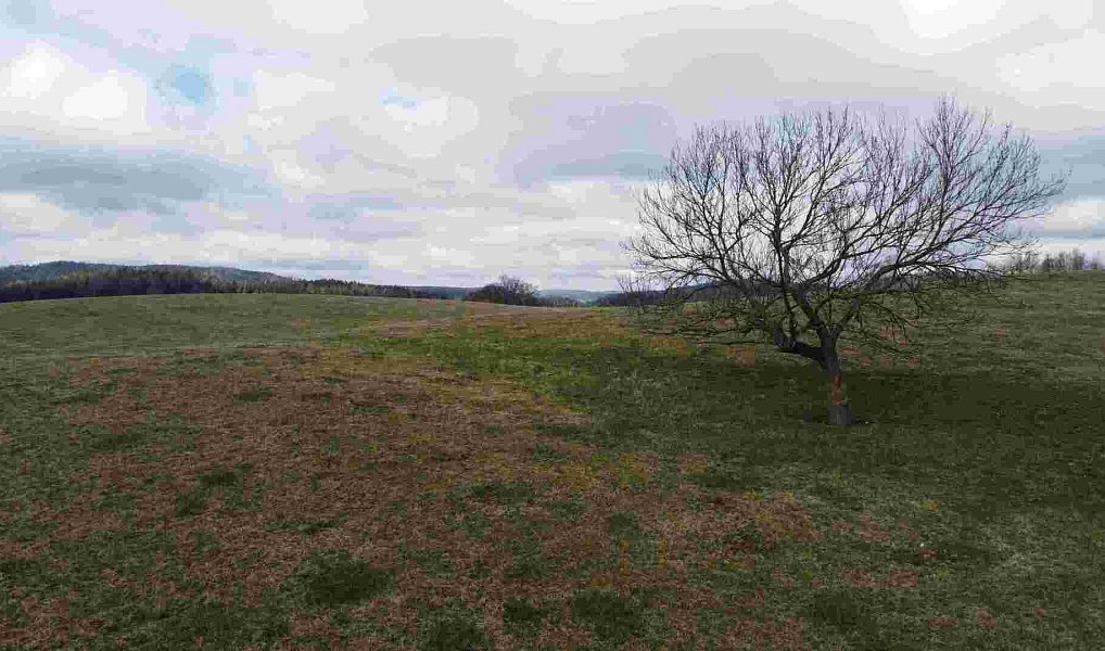 Prodej pozemku 5 185 m², Teplice nad Metují – náhled fotky 4