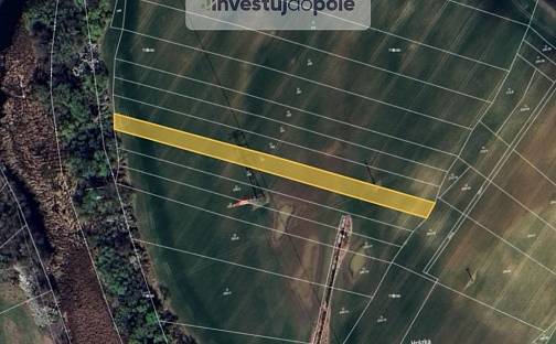 Prodej louky 3 589 m², Čelákovice - Sedlčánky, okres Praha-východ