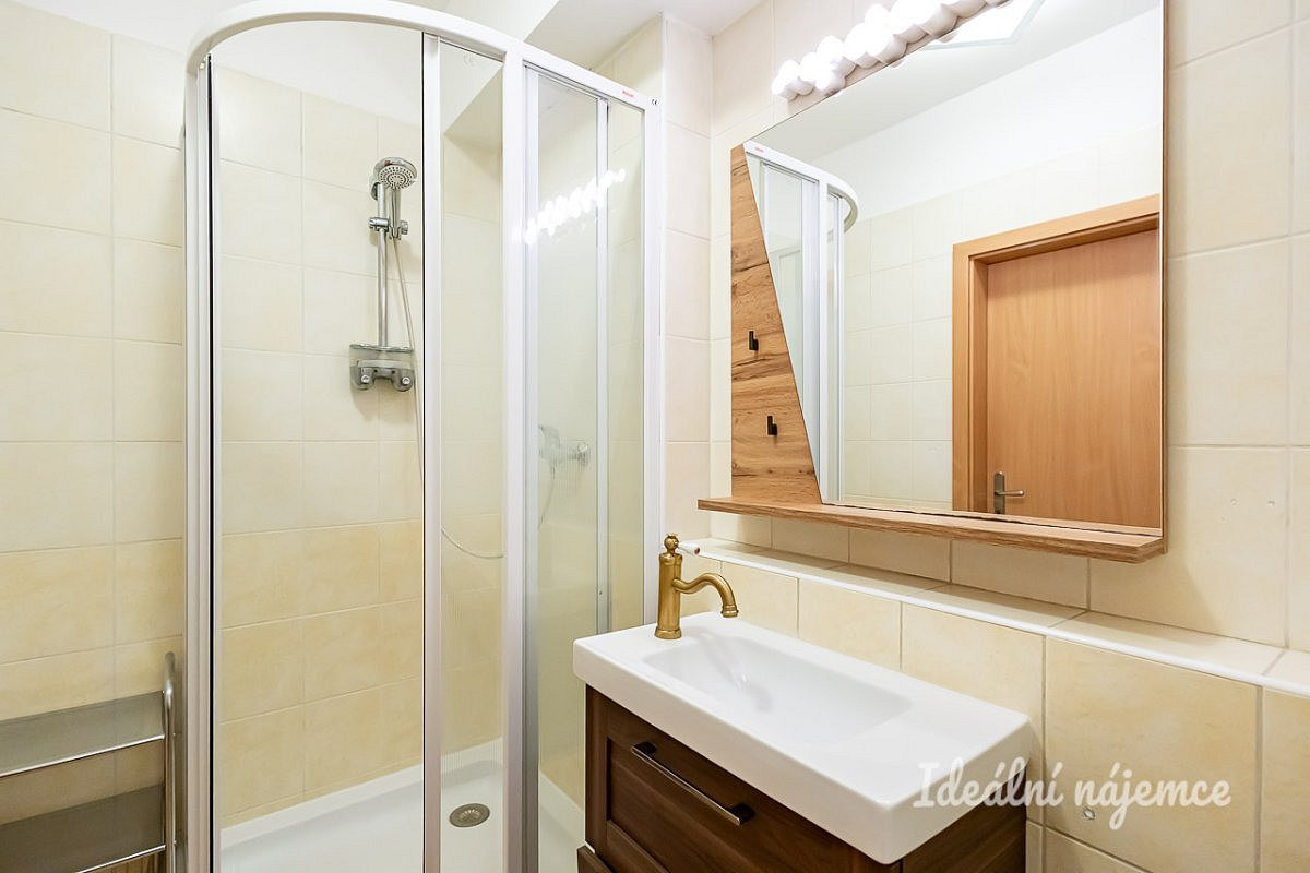 Pronájem bytu 3+kk 64 m² — photo 4