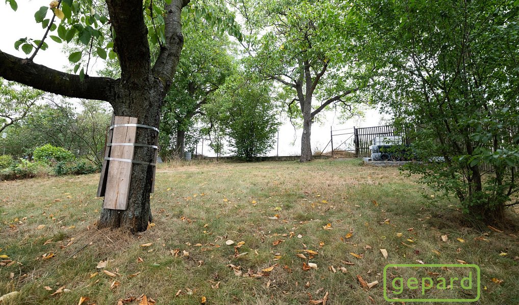 Prodej domu 120 m² s pozemkem 665 m², Buk – náhled fotky 9