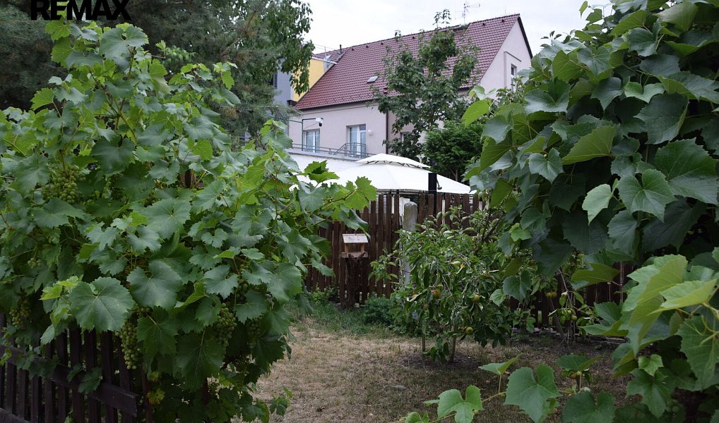 Prodej bytu atypického 70 m², Plzeň – náhled fotky 3