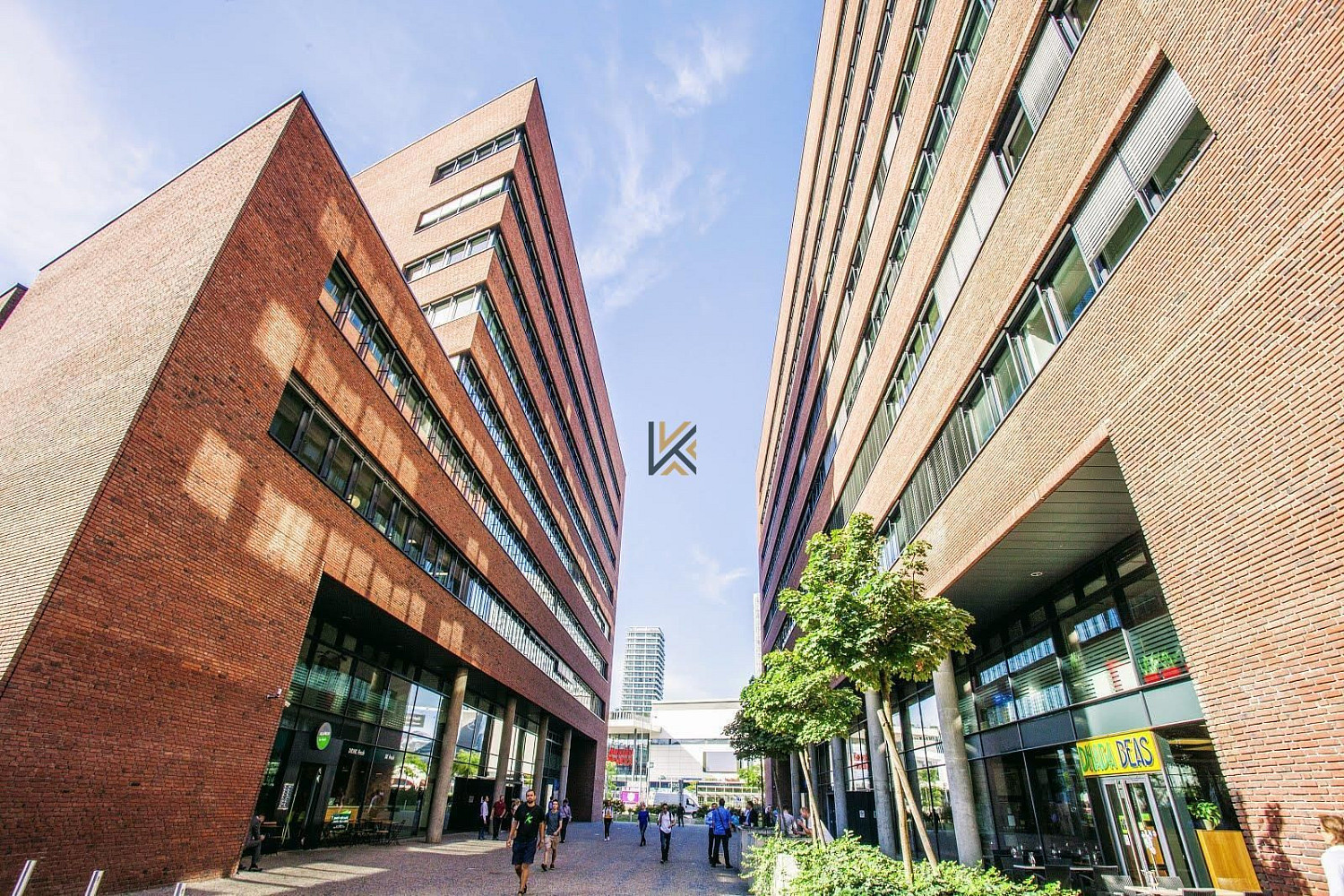 Pronájem kanceláře 555 m²