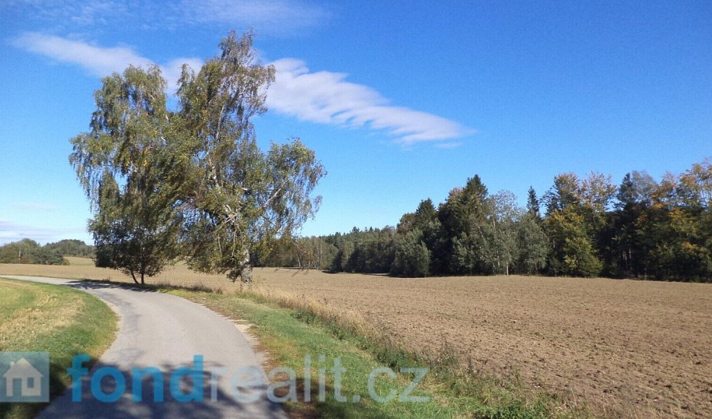 Prodej pozemku 4 992 m², Studená – náhled fotky 9