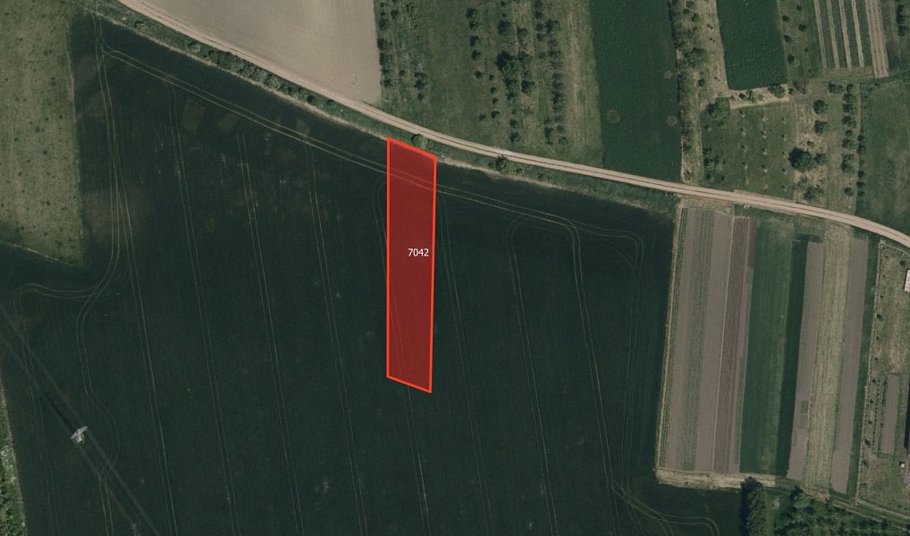 Prodej pole 14 992 m², Velká nad Veličkou – náhled fotky 6