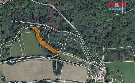 Prodej lesa 3 340 m², Kozly, okres Česká Lípa