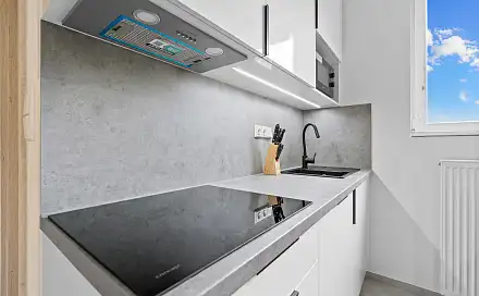 Pronájem bytu 3+kk 46 m², Pančava, Zlín - Příluky