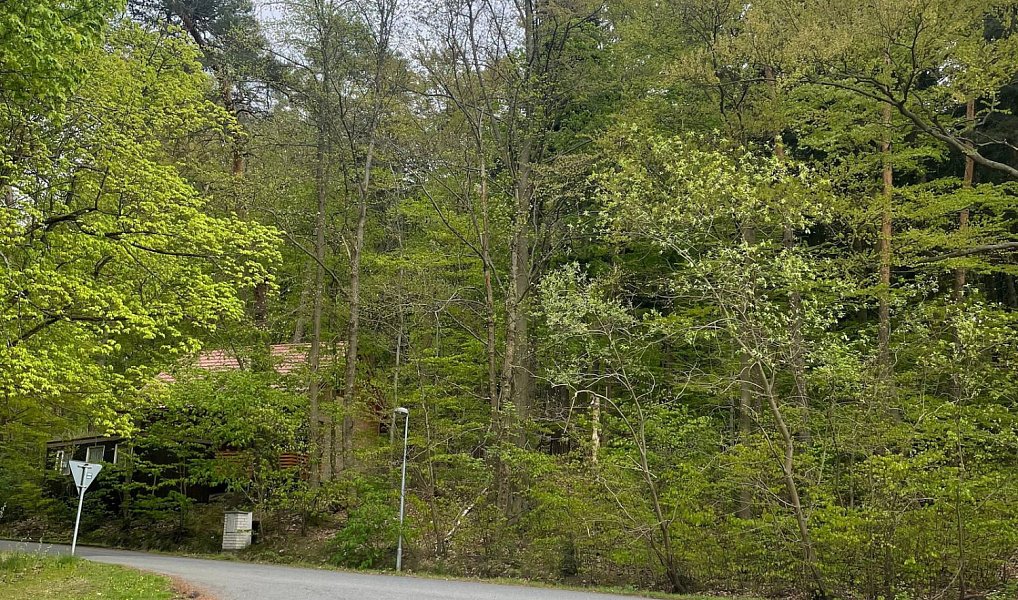 Prodej lesa 7 759 m², Jevany – náhled fotky 2