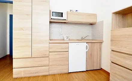 Prodej bytu 1+kk 17 m², Cejl, Brno - Zábrdovice